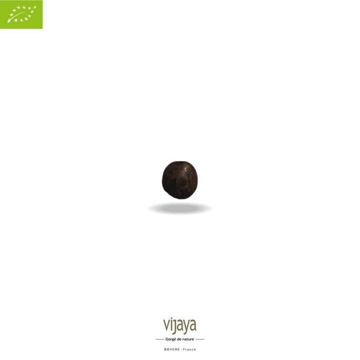 VIJAYA - SAS J.L. BOYERE - Wholesale Beans - Green Lentil - France - 5 kg - Organic*1