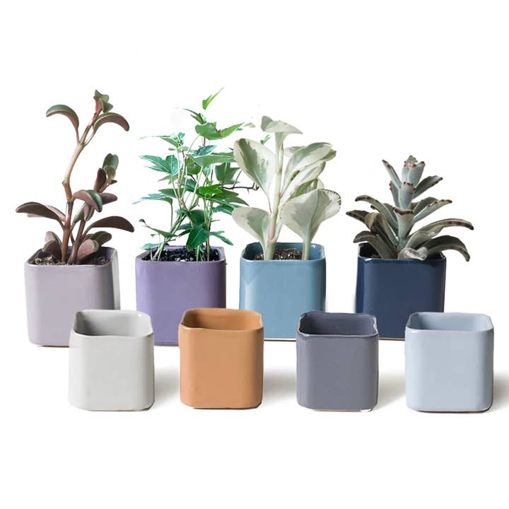 Chive UK - Wholesale Plant pot - Svek Cube 3 Ceramic Plant Pot for Mini Succulents4