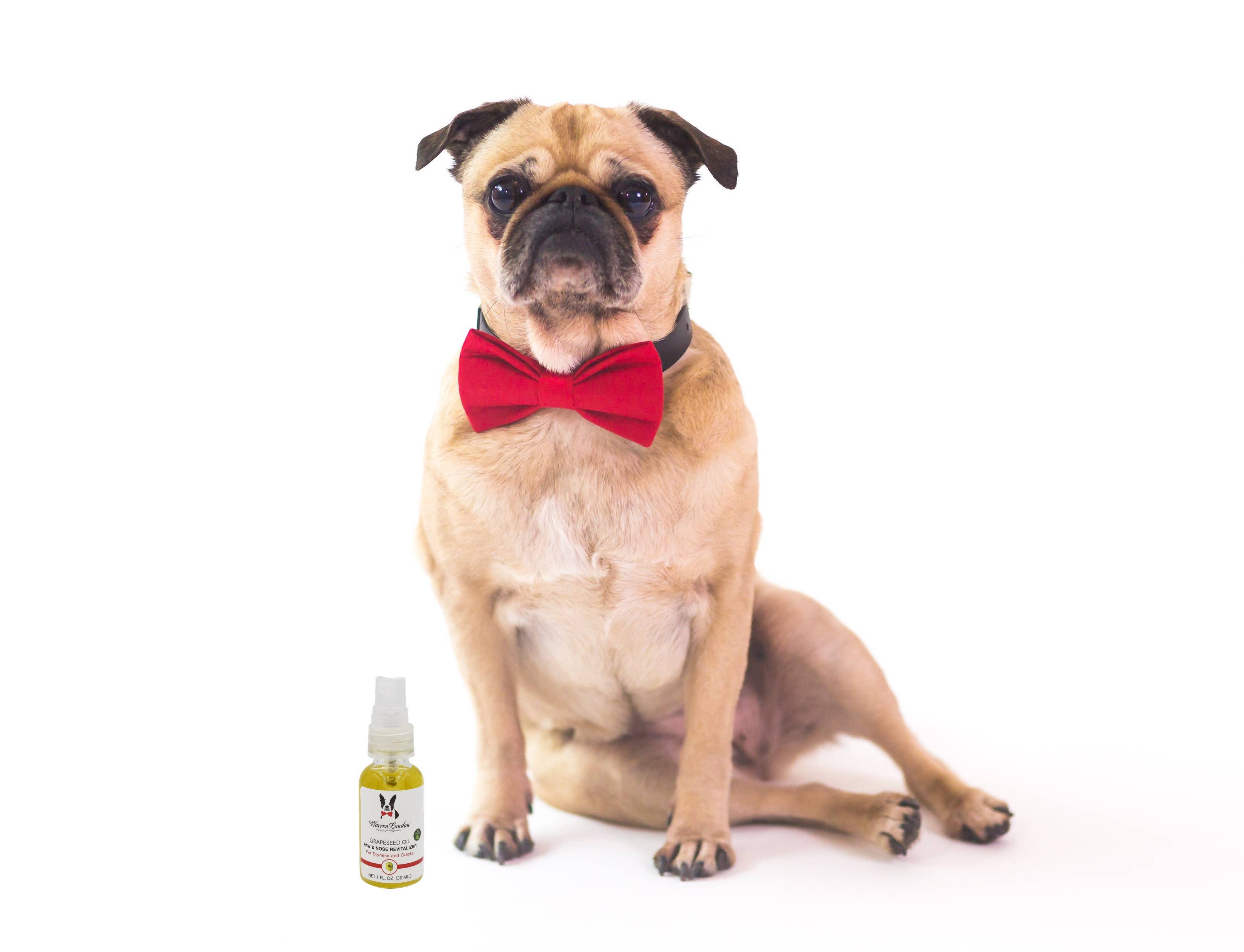 Warren London Dog Products - Wholesale Pet Paw Protection - Grapeseed Oil Paw Revitalizer - 2 Sizes6