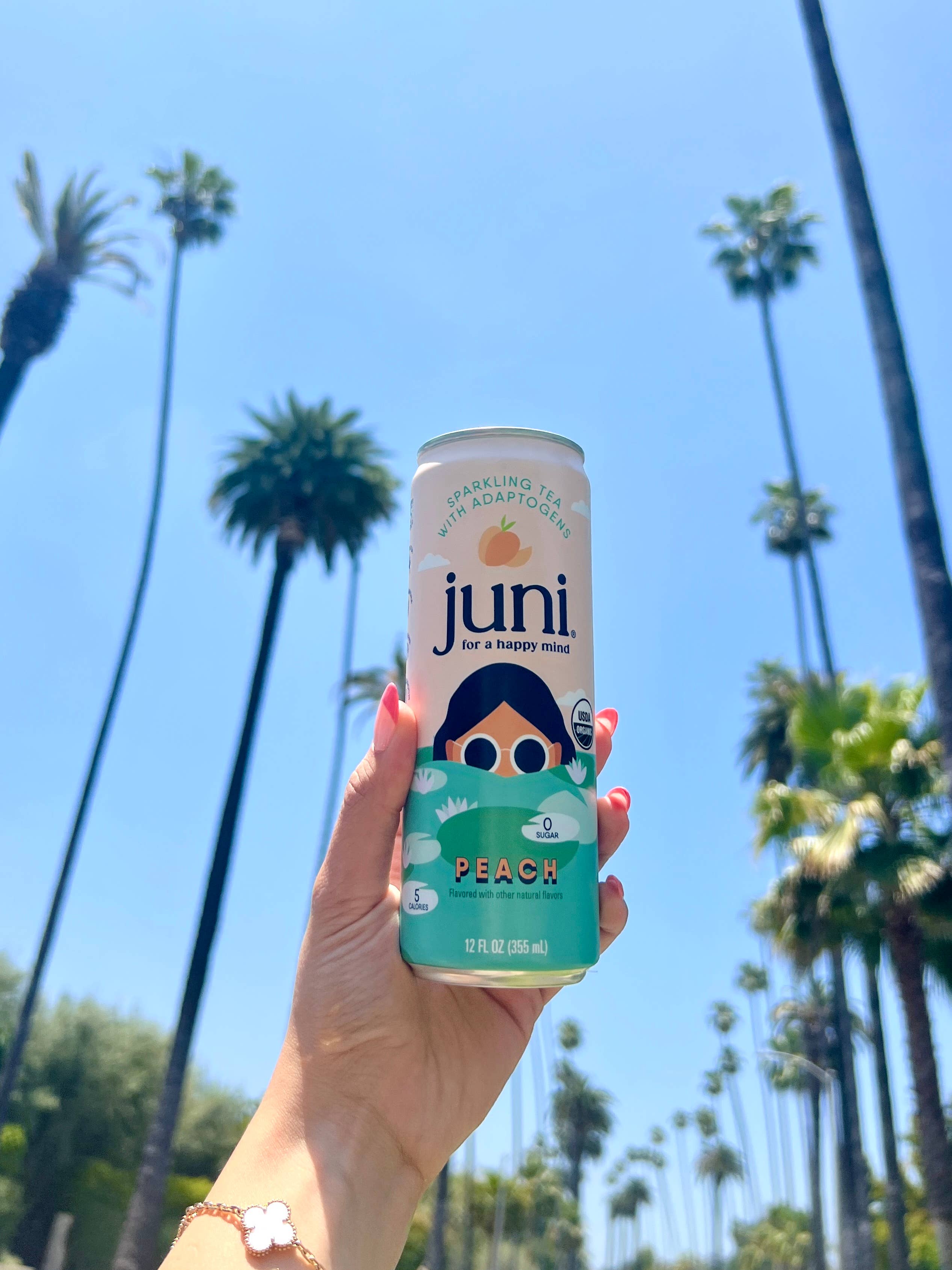 Juni - Wholesale Sparkling Water - Juni Sparkling Adaptogenic Tea - Peach2