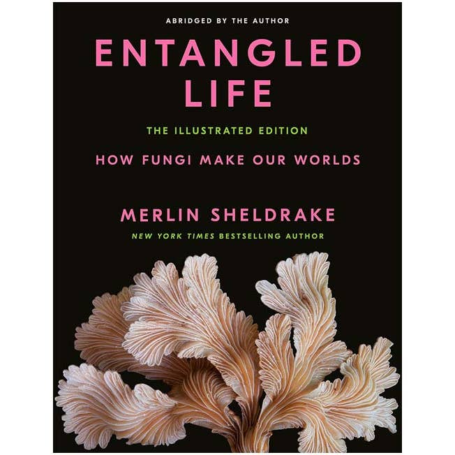Entangled Life: The Illustrated Edition. Fungi. Hardcover. for wholesale by VisionWorks LLC