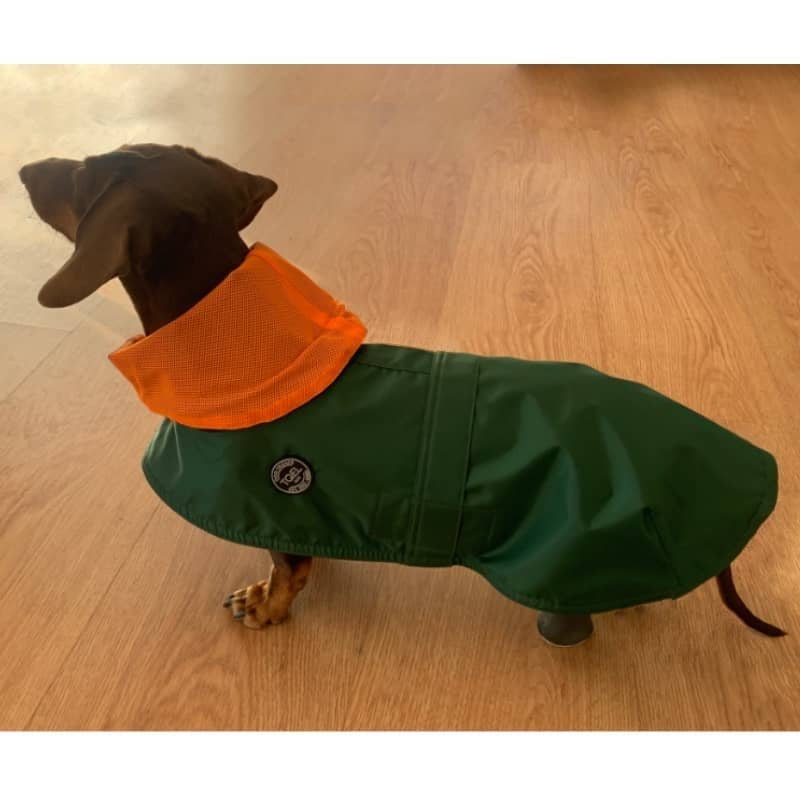 tQel dog trends - Wholesale Pet Raincoat - Dog - Tintin Air Green Raincoat6