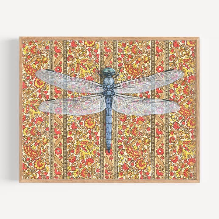 Blue Dasher Dragonfly - Kunsttryk for engroshandel hos Emily Uchytil
