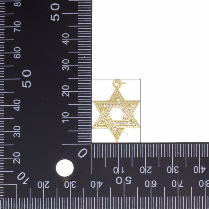 Jewel Pledge - Wholesale Individual Charm/Pendant - Gold Or Silver CZ Star of David Charm CPG-CPS28132