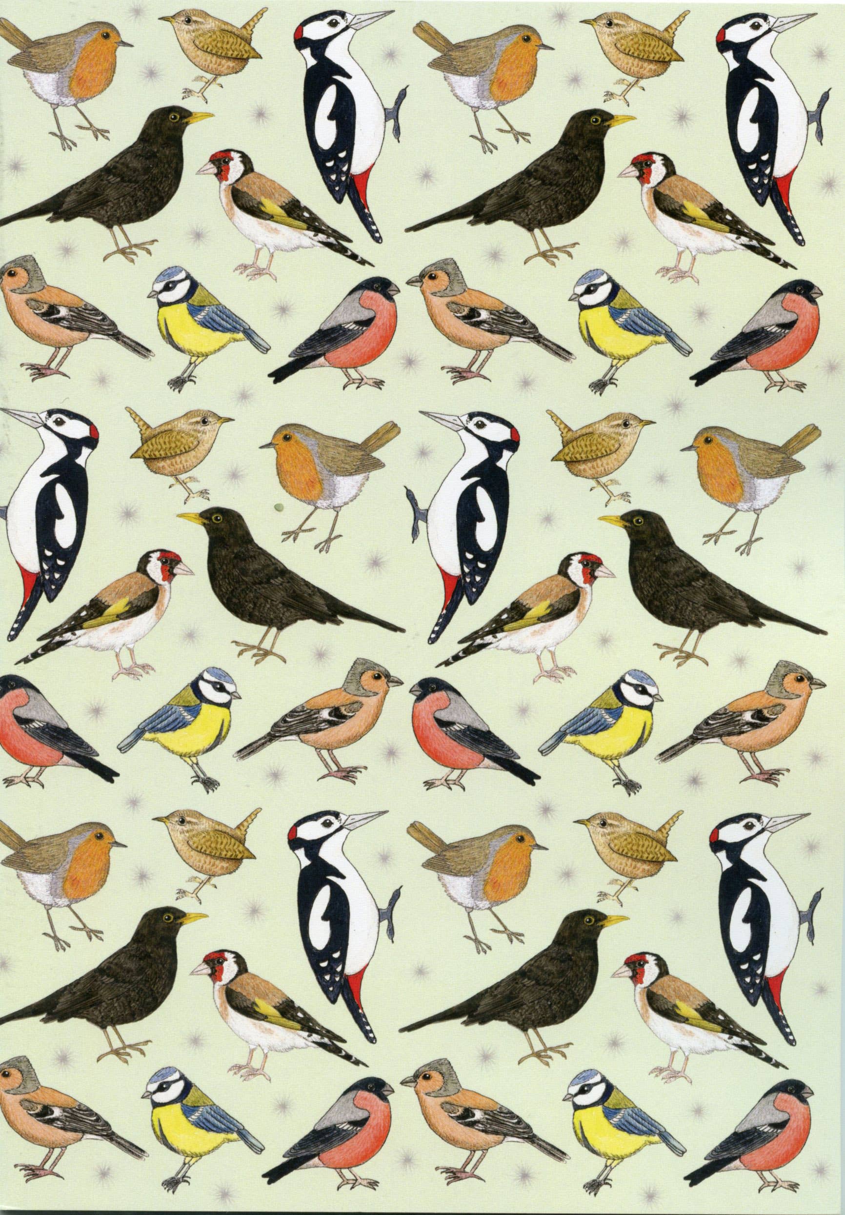 Rie Designed – wholesale Notebook – Garden Birds A5 Plain Paper Recycled Notebook4