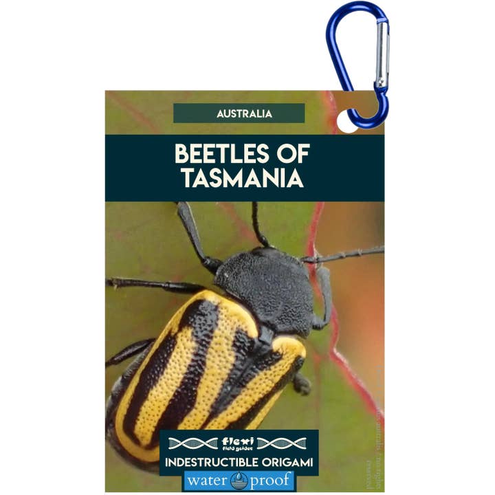 Coléoptères de Tasmanie-Origami indestructible pour la vente par Flexi Field Guides