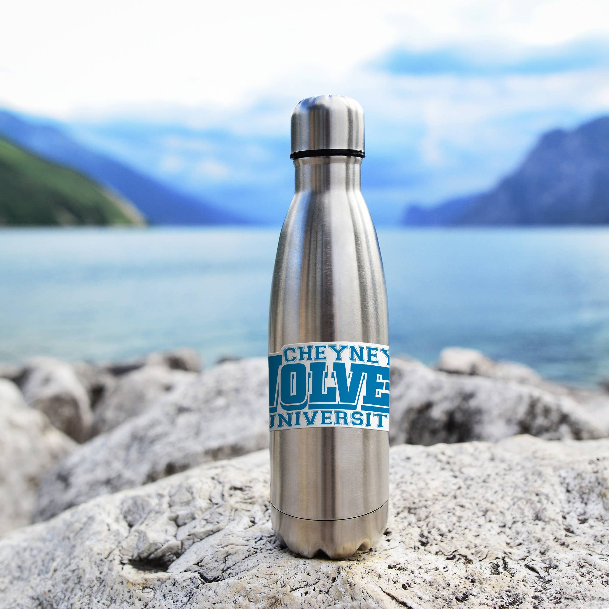 Rico Industries - Vente Breloque décorative pour voiture – unisexe - NCAA Cheyney Wolves Autocollant Découpé Moyen3