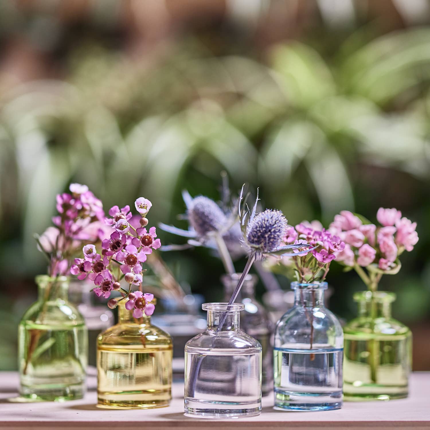 Chive - Wholesale Vase - Loft  Colorful Transparent Bud Vase Set Oval, Round, Square37