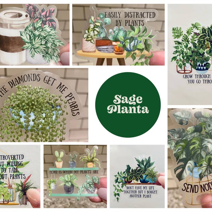 Clear Plant Stickers for wholesale by Sage Planta