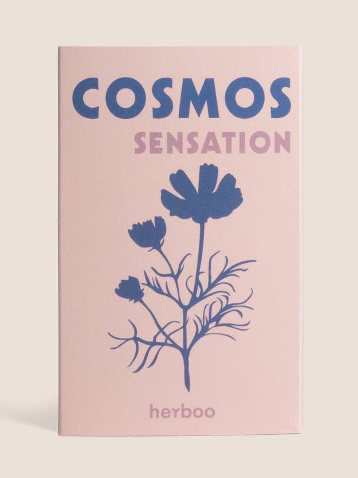 Cosmos 'Sensation' Seeds for wholesale by Herboo