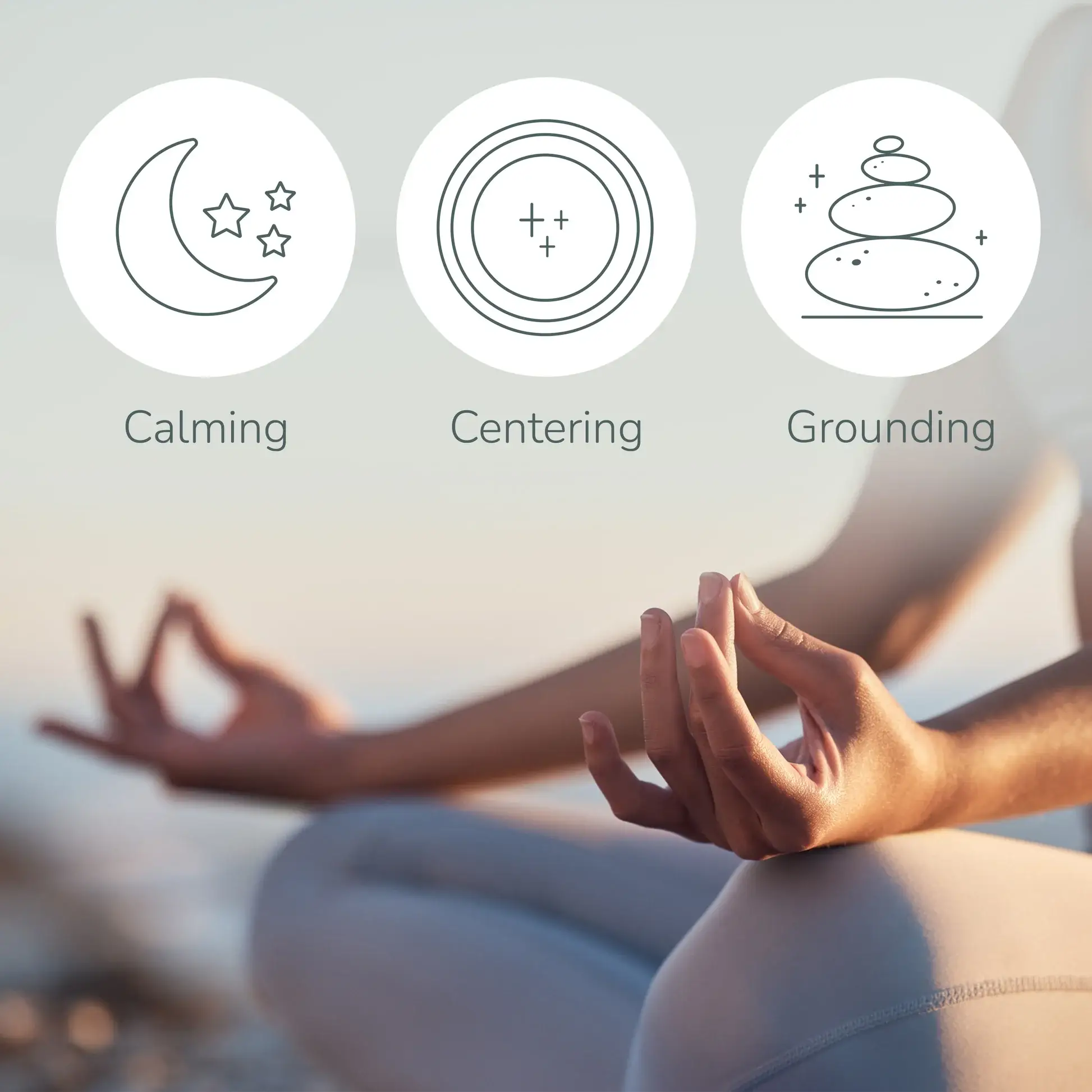 Plant Therapy - Wholesale Essential Oil - Meditation Essential Oil Blend 10 mL6