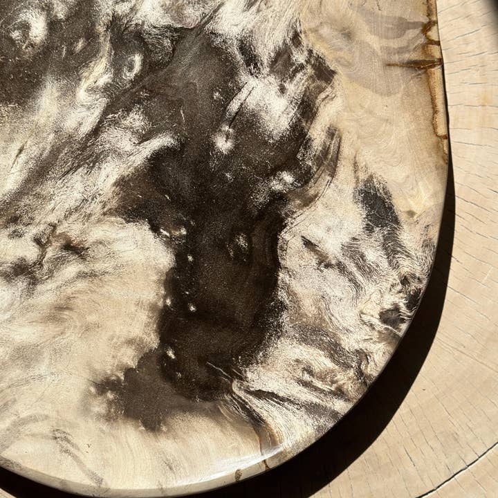 Office Objets - Wholesale Decorative Plate/Dish/Bowl - Very large catchall or dish in petrified wood2