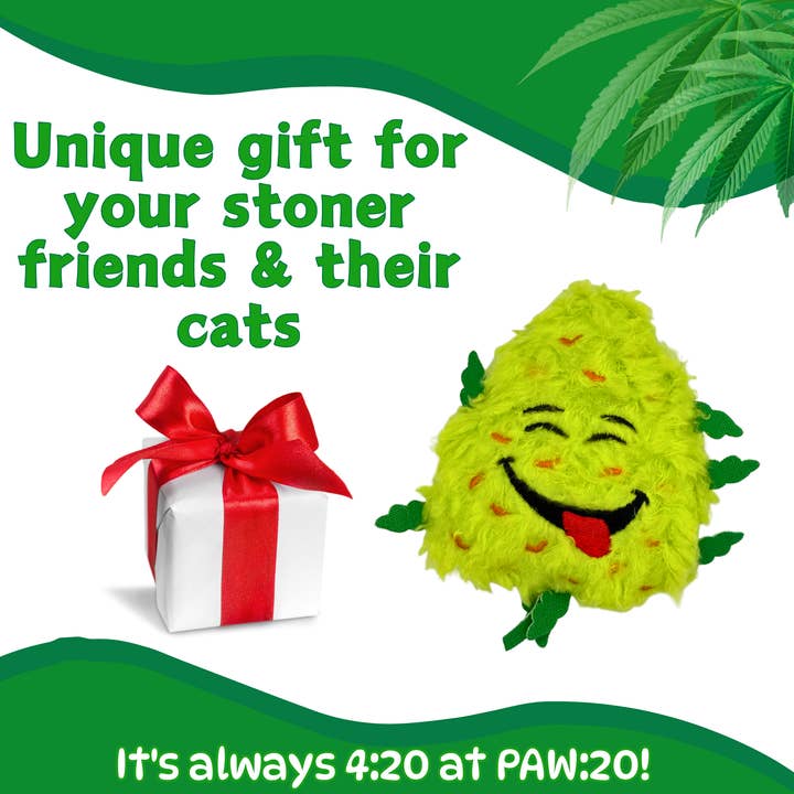 PAW:20 - Vente Jouet – chat - Bud Jr. le Bourgeon d'Herbe, Jouet Parodique en Peluche avec Herbe à Chat pour Chat5