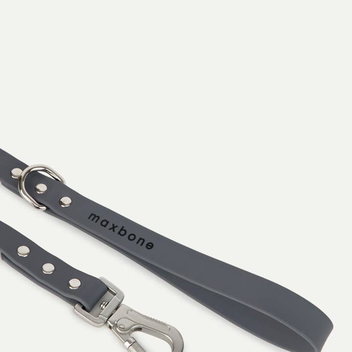 maxbone - Vendita all'ingrosso Guinzaglio - Cani - Guinzaglio per cani Hazel1