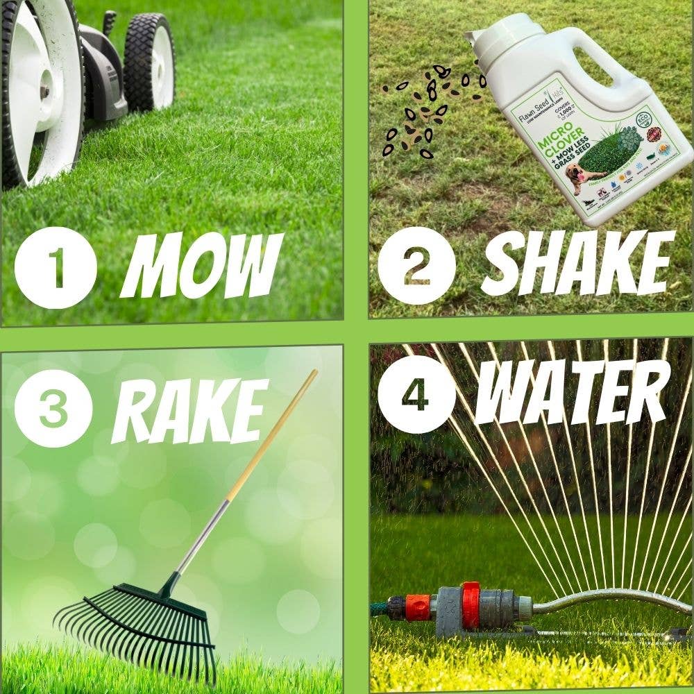 Flawn Seed Kits - Wholesale Plant Seeds - Micro Clover + Mow Less Fine Fescue Grass Seed4