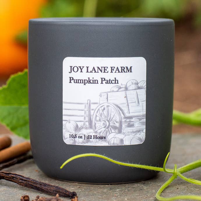 Candela minimalista in ceramica zucca - Non tossica, cocco e soia per la vendita all'ingrosso da parte di Joy Lane Farm