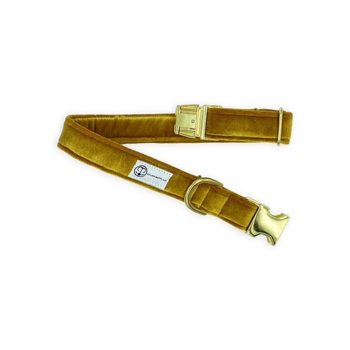 Gold Velvet Standard Collar for wholesale by Golden Mutt Jack
