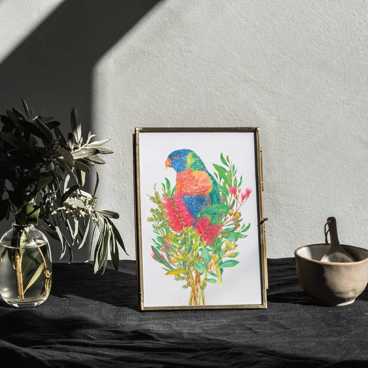 Kayla Reay Design - Wholesale Art print - Rainbow Lorikeet Art Print4