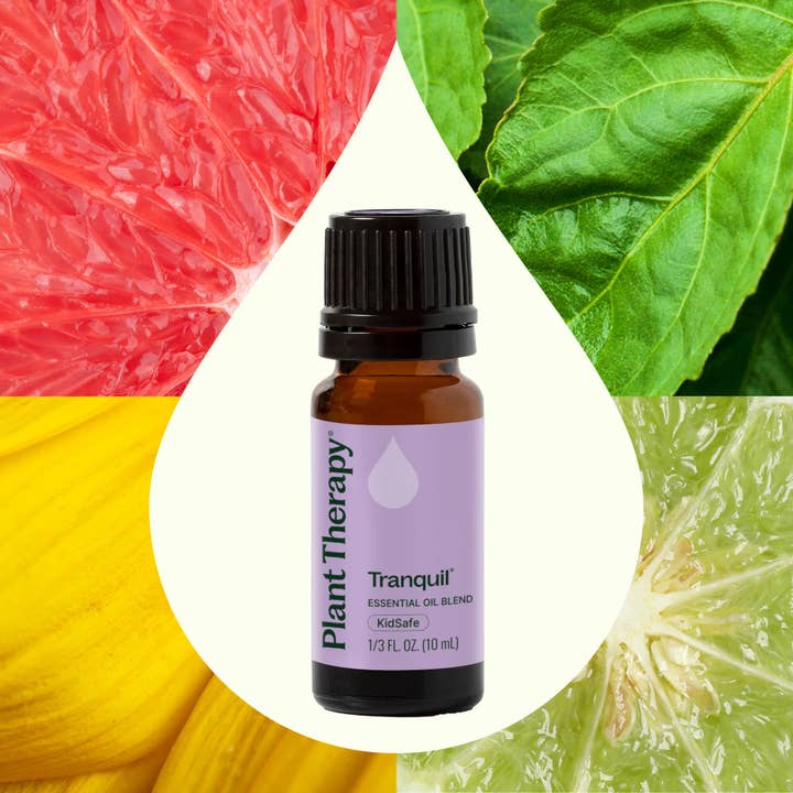 Plant Therapy – wholesale Essential oil – Tranquil ®️ Essential Oil Blend 10 mL4