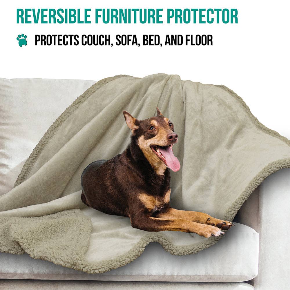 PetAmi - Vente Couverture – chat et chien - Couverture pour animaux en polaire réversible86