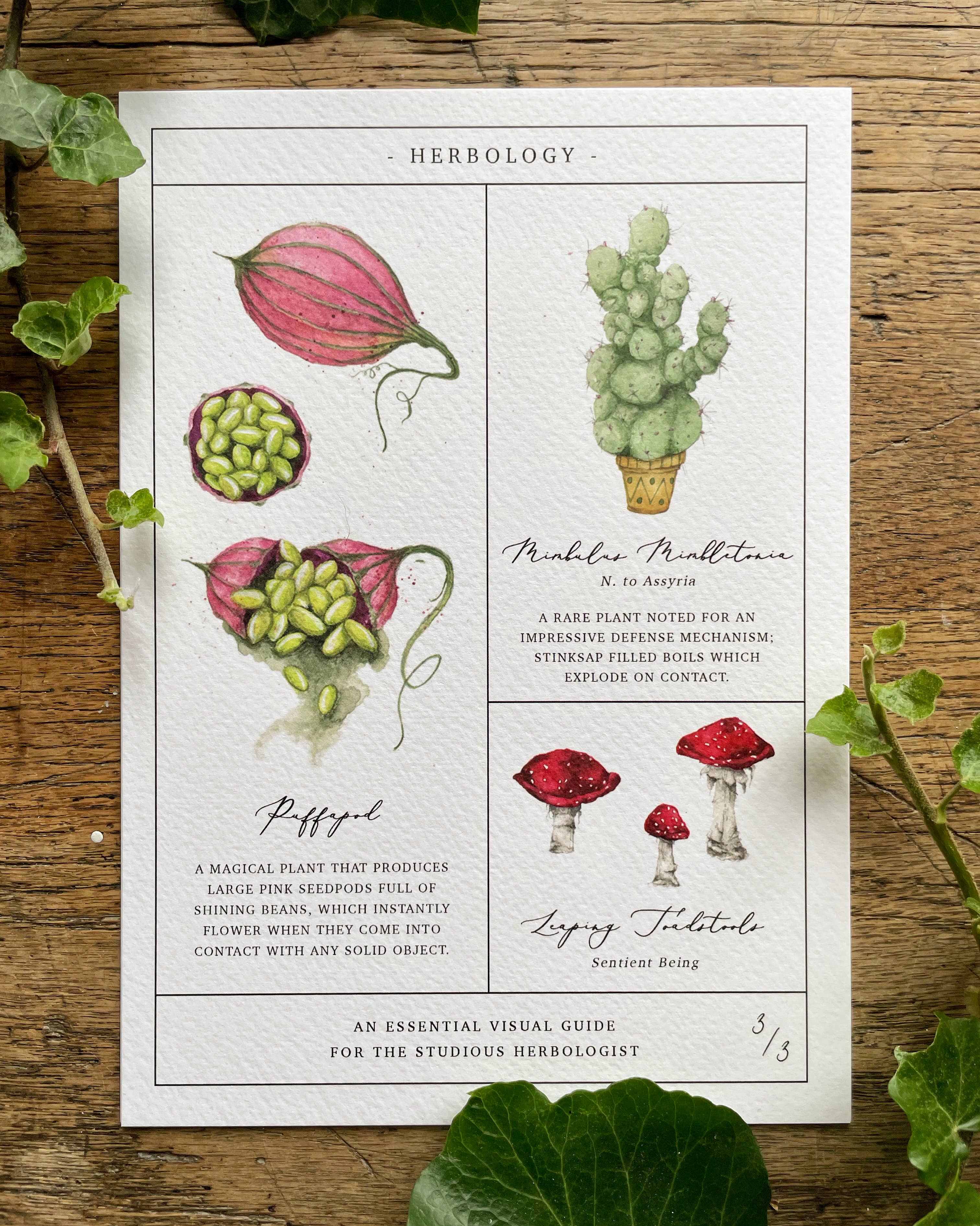 Georgiou Draws - Wholesale Kunstprint - Kruidenkaart Magical Botanical Art Print, set van 3 prints3