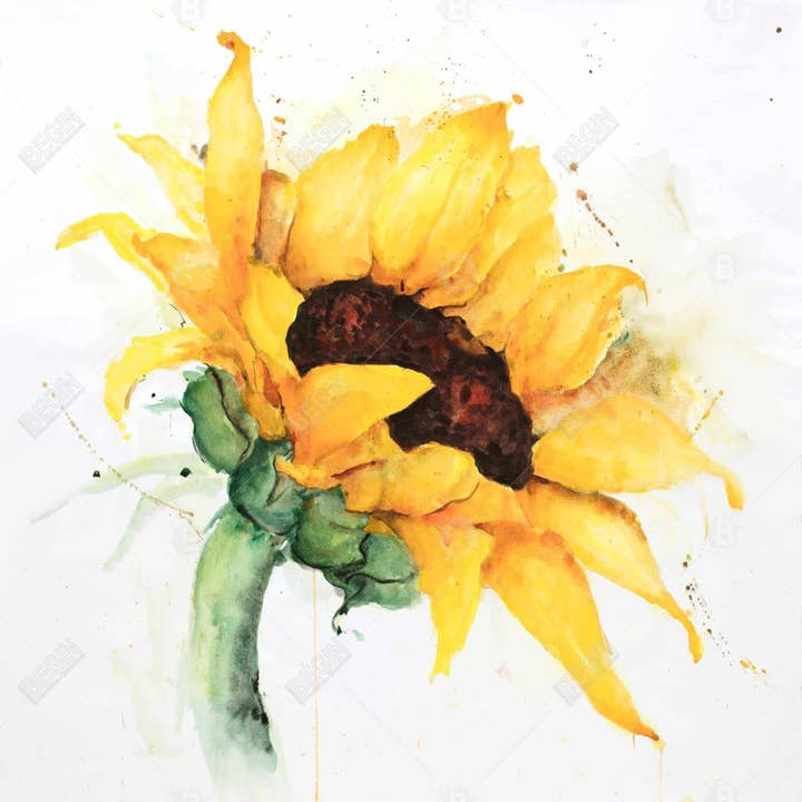 Bruin Aquarel zonnebloem | fine art print op canvas 24" x 24" voor groothandel op Faire