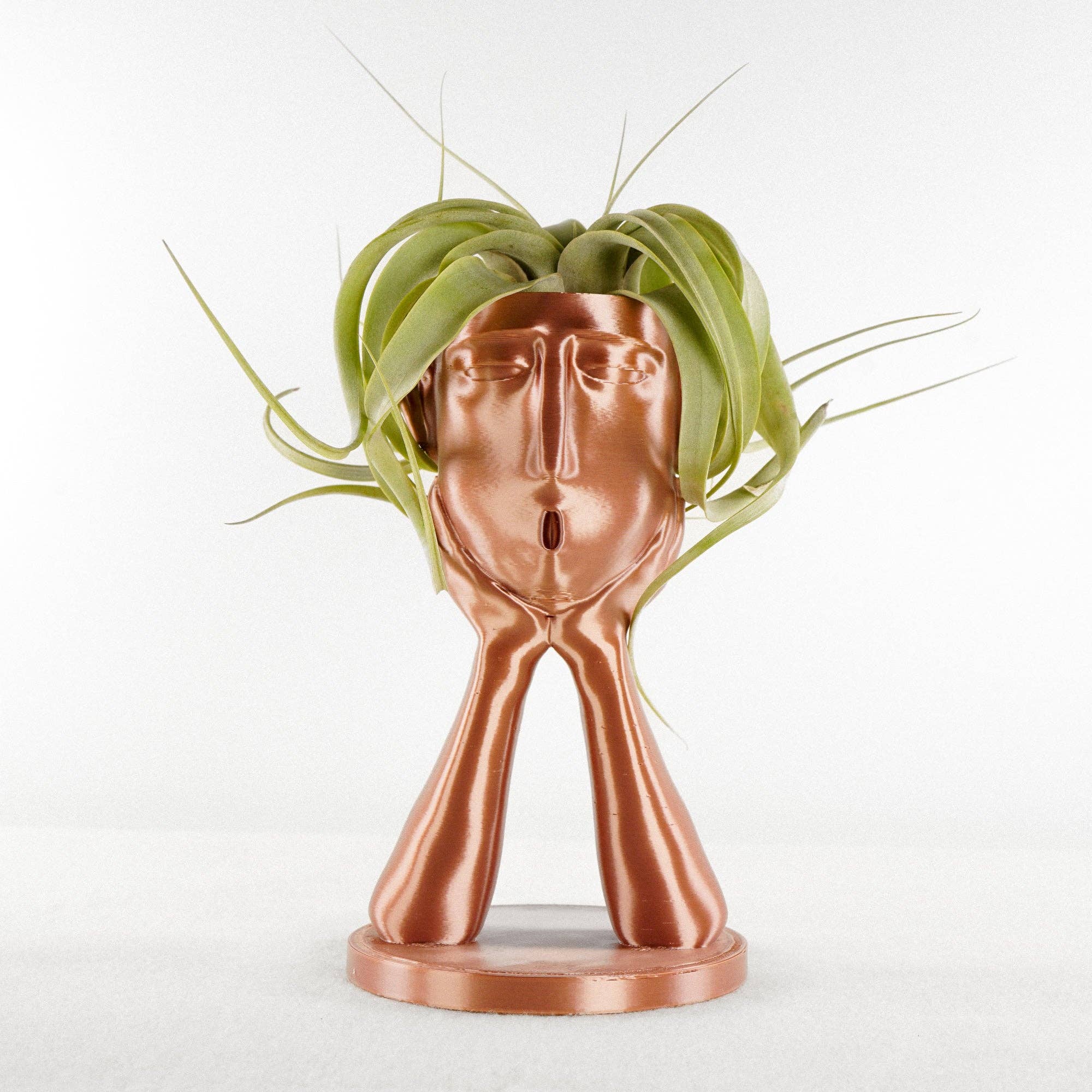 Rosebud Homegoods - Vente Pot - Support pour plantes gonflables Stonehenge, joli pot à tête, cadeau de décoration unique10