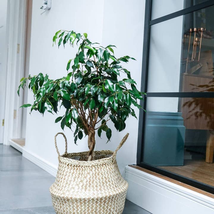 Panier doublé de chevrons durables en jonc de mer pour la vente par Ivyline International