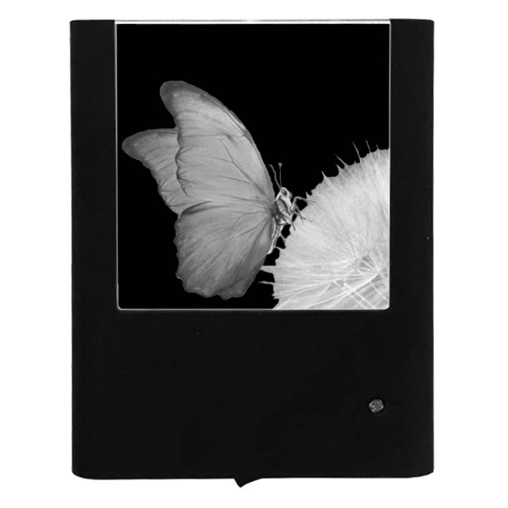 Mariposa grabada sobre diente de león para venta al por mayor de Nightlight Studio