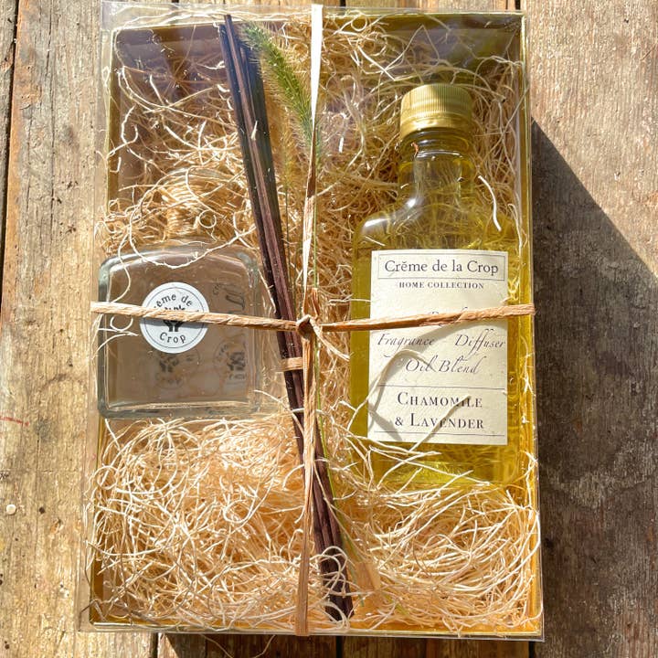 VIAI Beauty - Wholesale Reed diffuser - Reed Fragrance - Diffuser, Starter Kit - Juniper & Blue Spruce