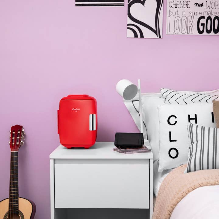 Classic 4 Liter Small Mini Fridge for wholesale by Cooluli