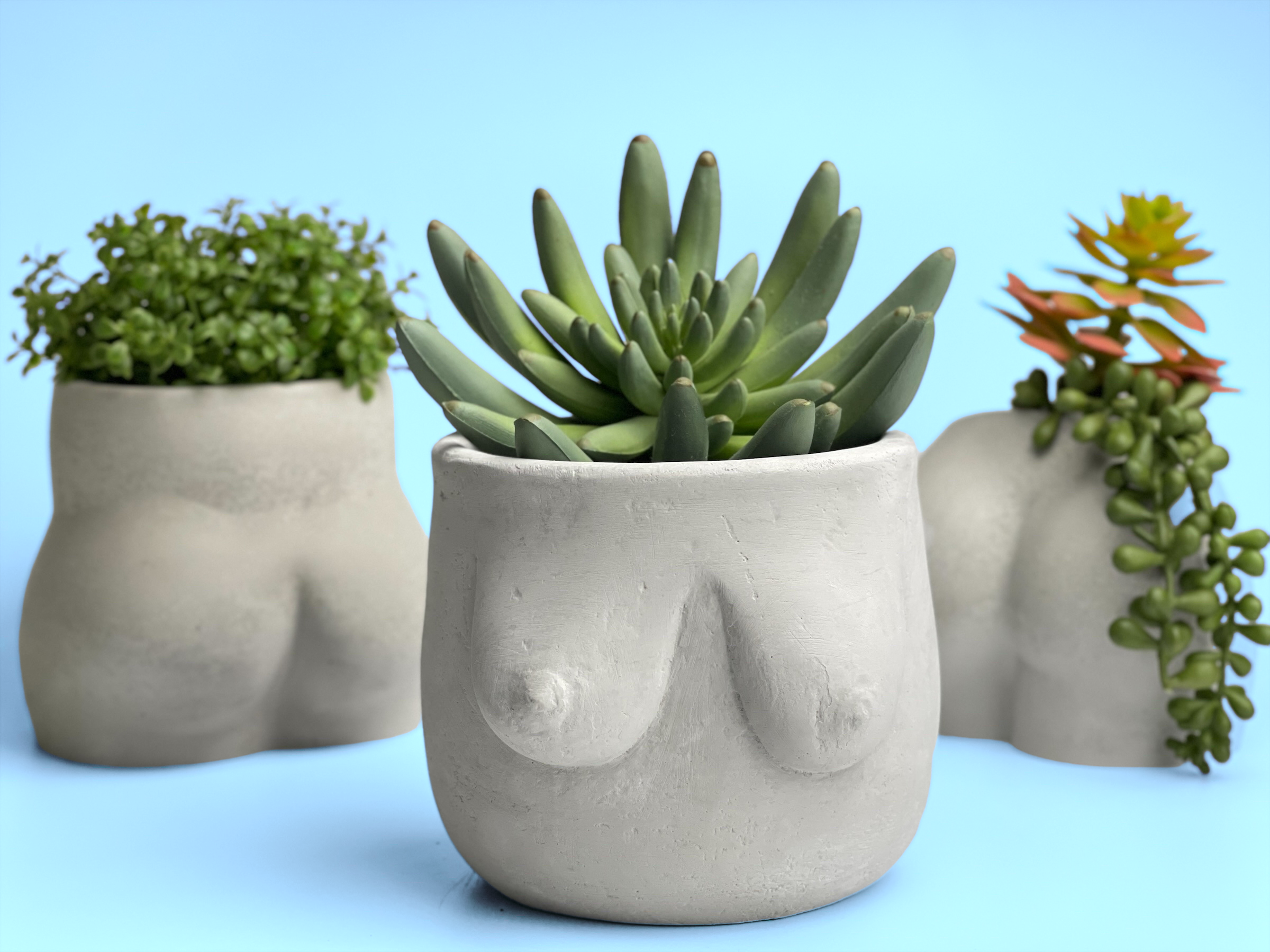 Planters Made in the USA - Wholesale Plant Pot - Boobs Planter, Woman Body Pot, Female Torso Decor, Breast1