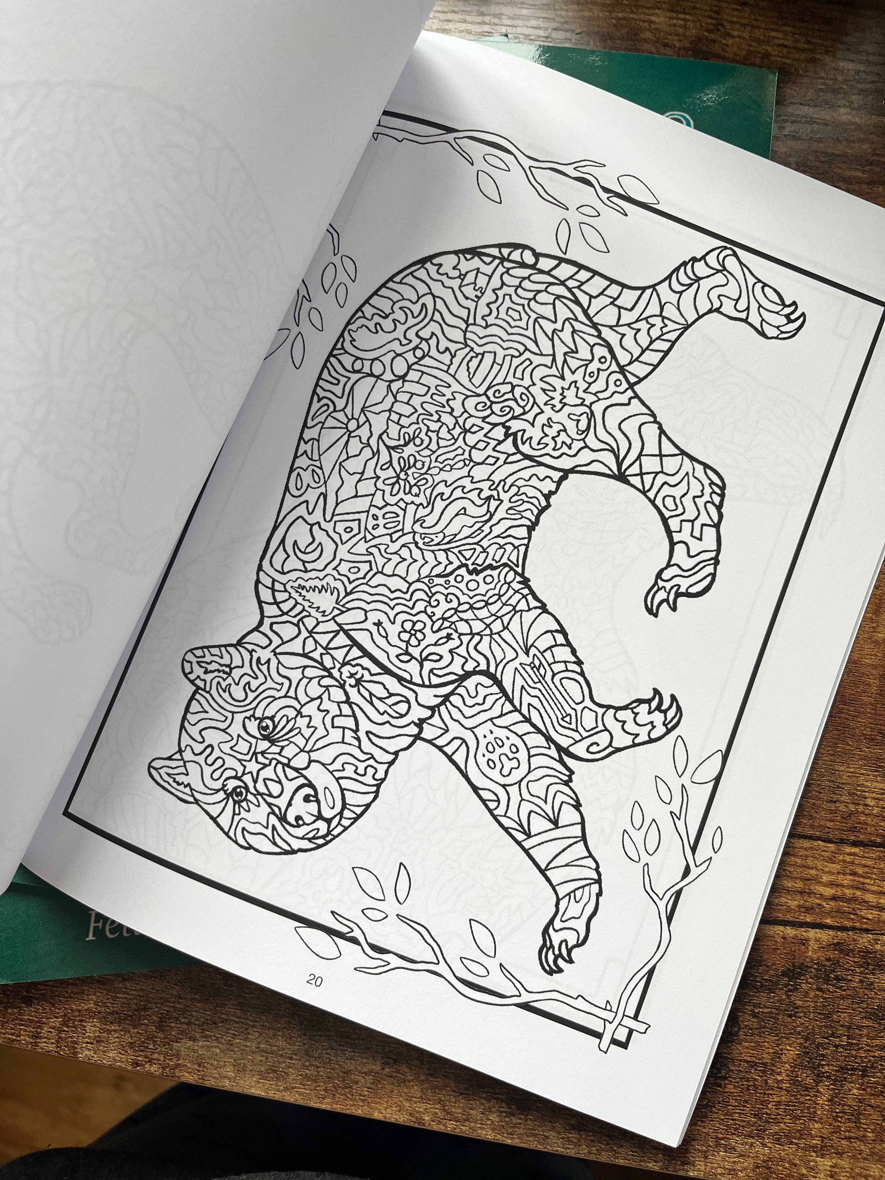 FJ Creations - Wholesale Coloring & Activity Book - Adult - Doodle Alaska 2 Coloring Book of Alaska1