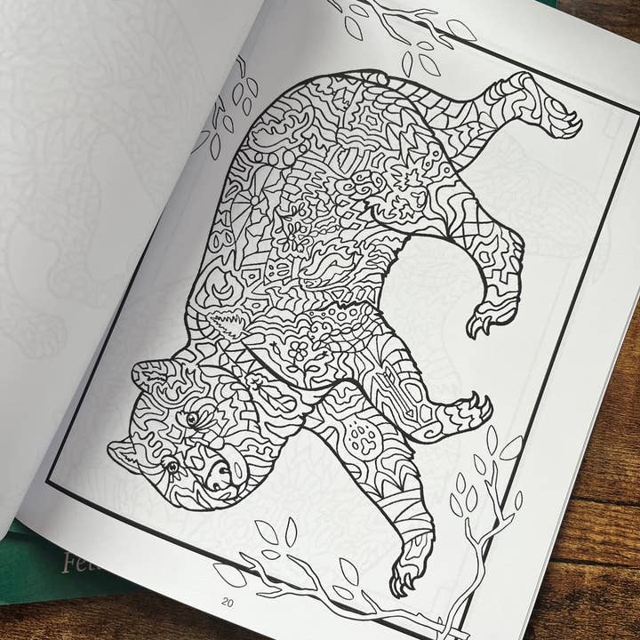 FJ Creations – wholesale Colouring and activity book – adult – Doodle Alaska 2 Coloring Book of Alaska1