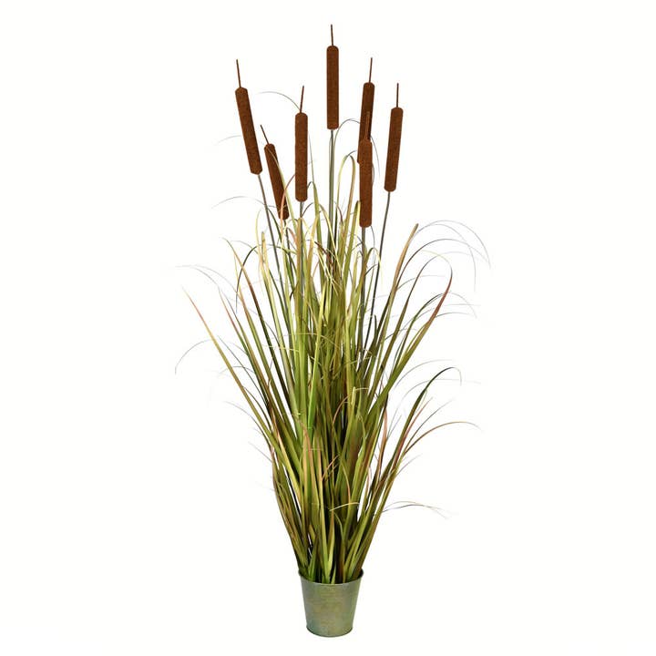 Vickerman 60" Green Cattail Grass In Iron Pot, 7 Cattails and other Purchase Wholesale frozen oxtail. Free Returns & Net 60 Terms on Faire trending on Faire.