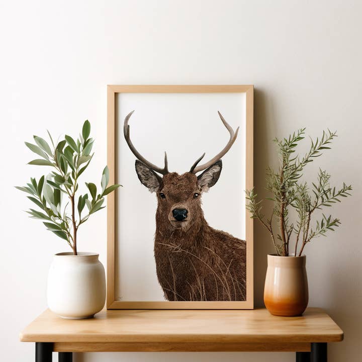 'Deer' Limited Edition Giclee Print for wholesale by Tanya Whitfield Illustrations