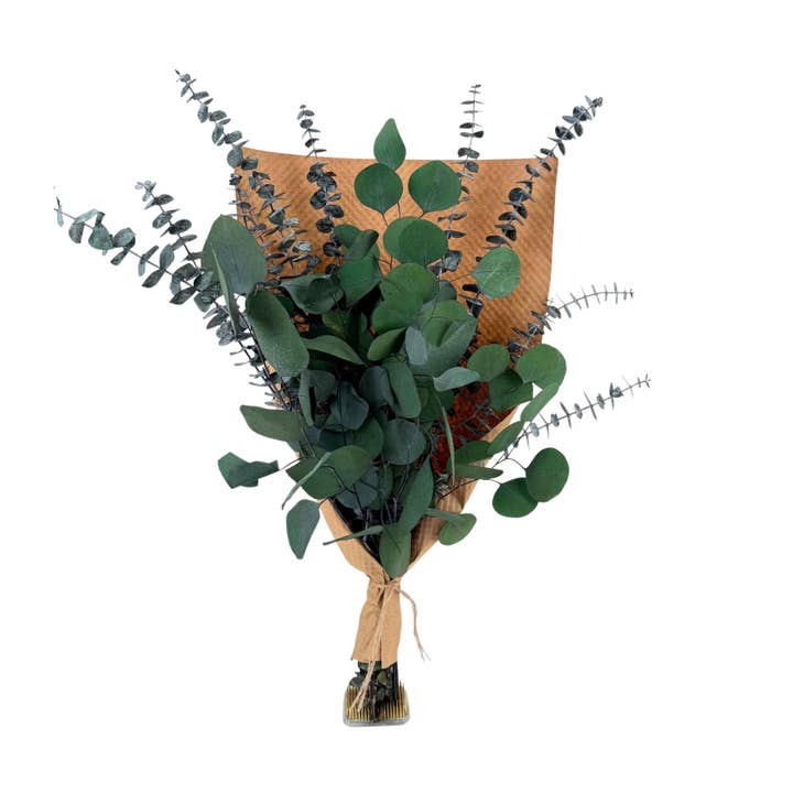 Andaluca - Wholesale Dried/Pressed Flowers - Silver Dollar & Baby Eucalyptus 8 ounce Preserved Bundle