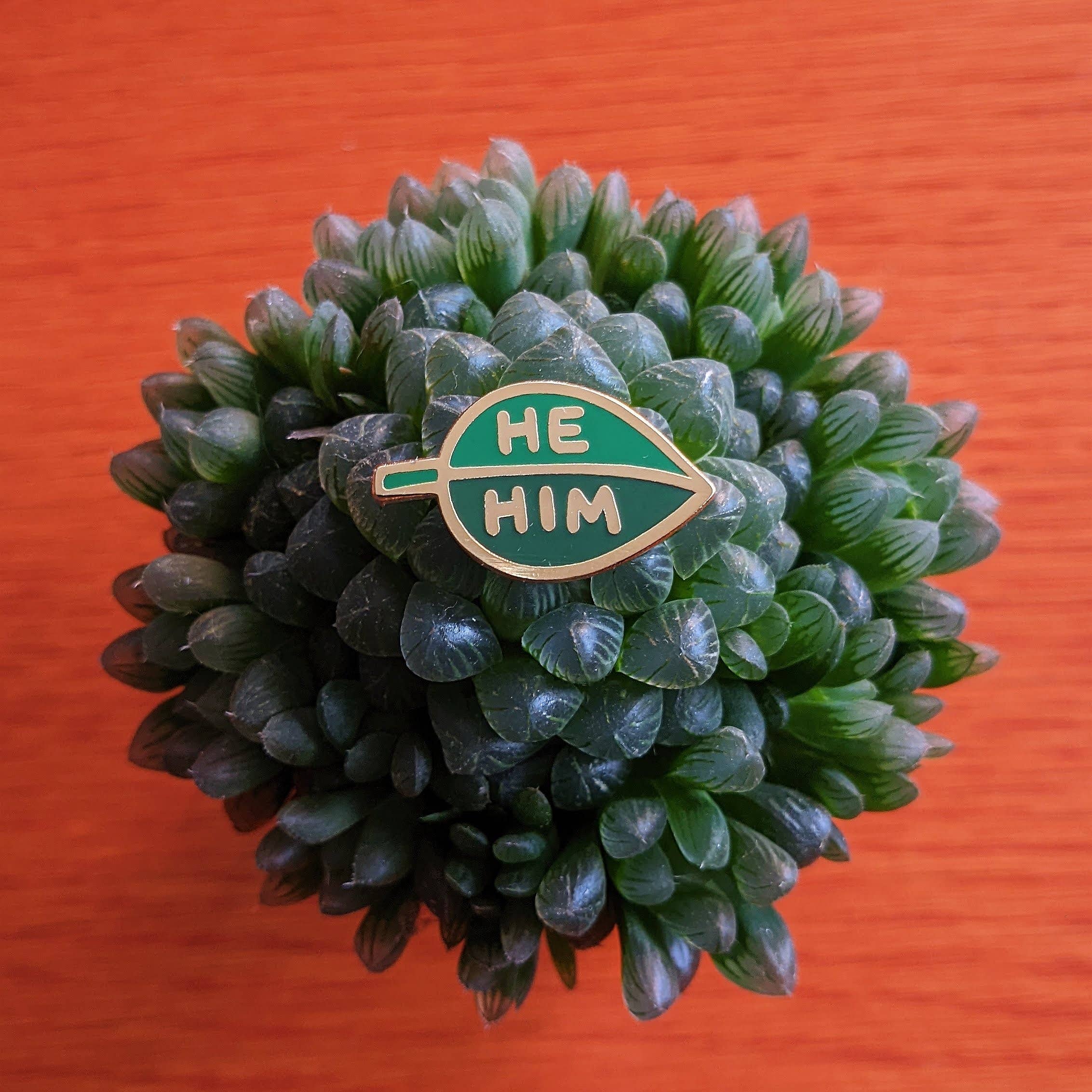 misomomo - Venta al por mayor Botón/prendedor - Pronombre Leaf Pin - él/él8