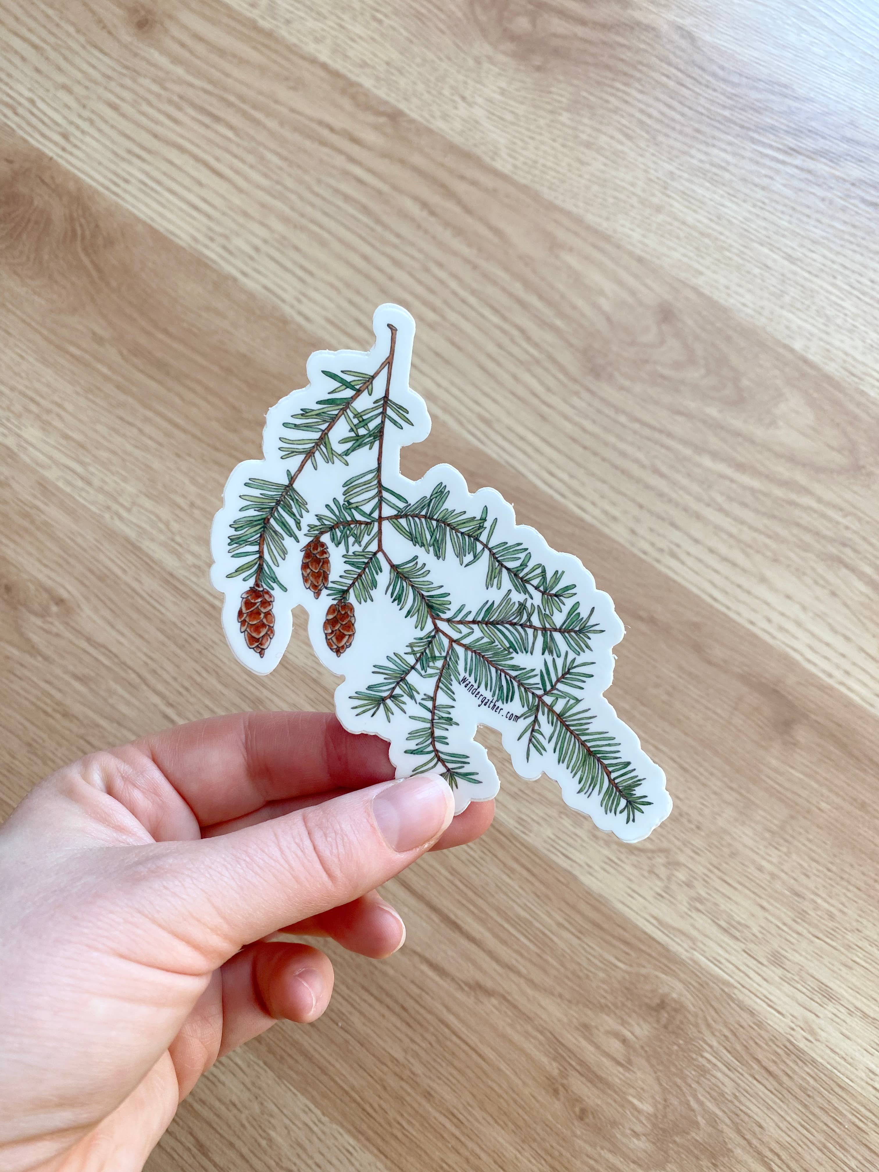 Wander & Gather - Wholesale Sticker - Hemlock Branch Native Plant Waterproof Sticker1