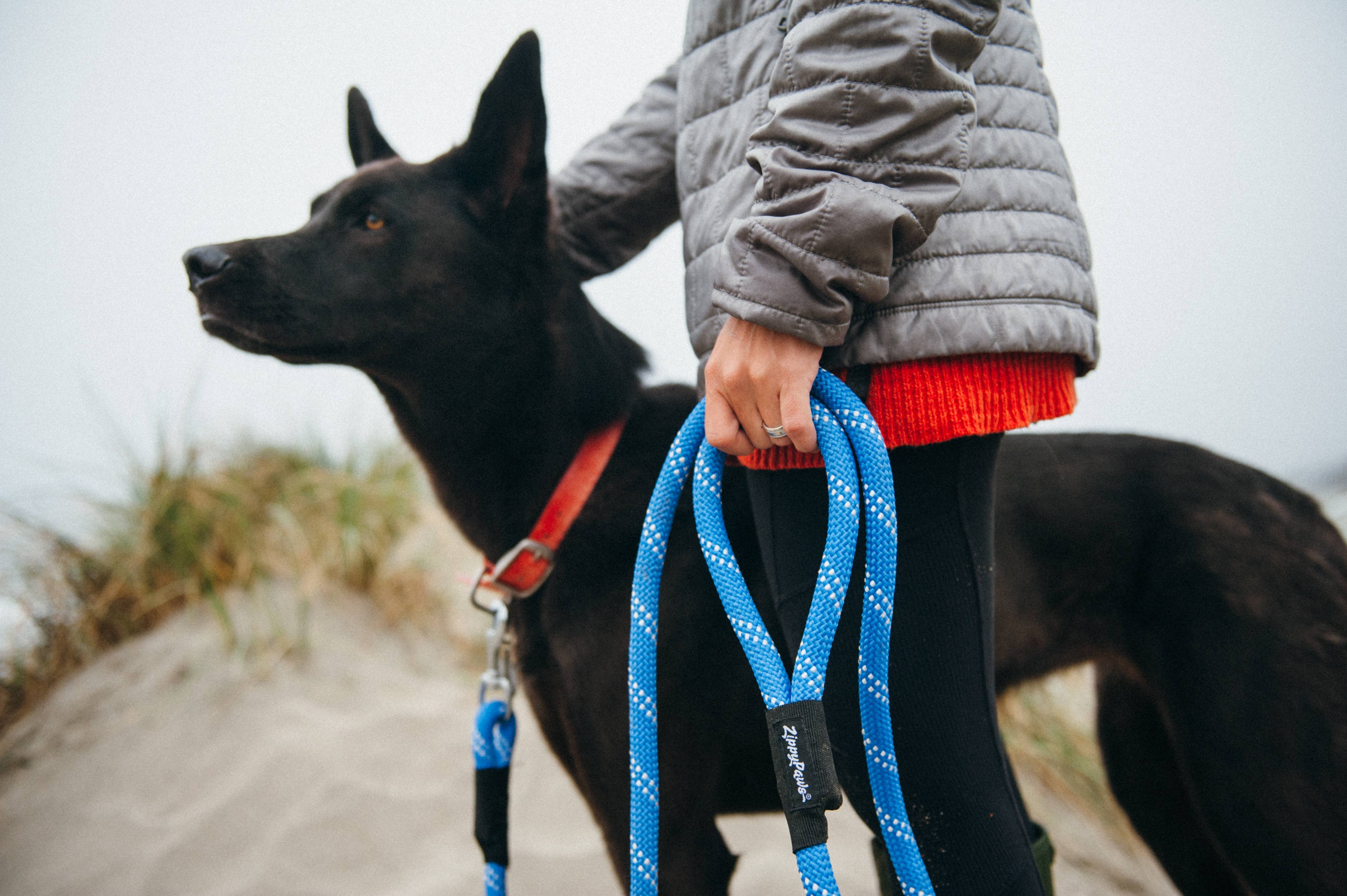 Only An Ocean Europe - Wholesale Pet Leash - Dog - ZippyPaws Climbers Dog Leash Original 6 Ft4