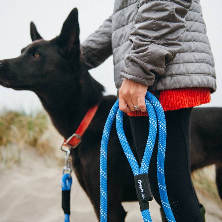 Only An Ocean Europe - Wholesale Pet Leash - Dog - ZippyPaws Climbers Dog Leash Original 6 Ft4