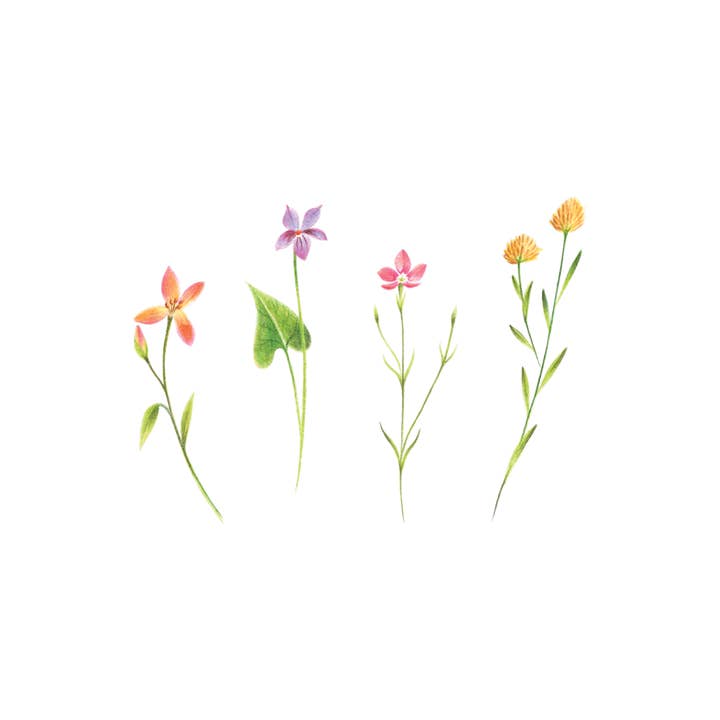 Petite Florals | Temporary Tattoo Pair Petite Florals | Temporary Tattoo Pair