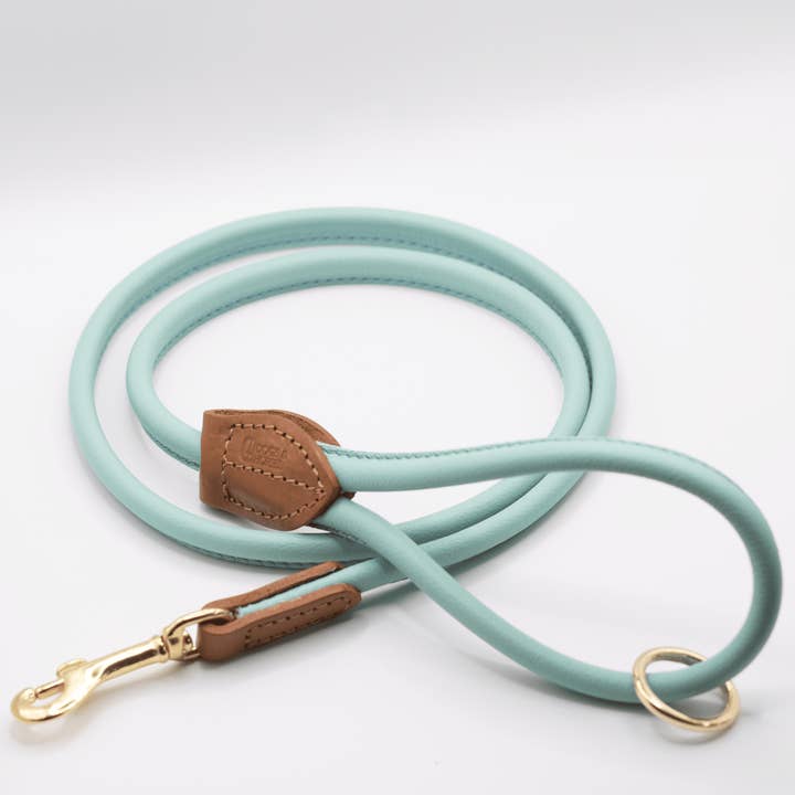 Rolled Soft Leather Dog Lead Aqua for wholesale by Dogs and Horses