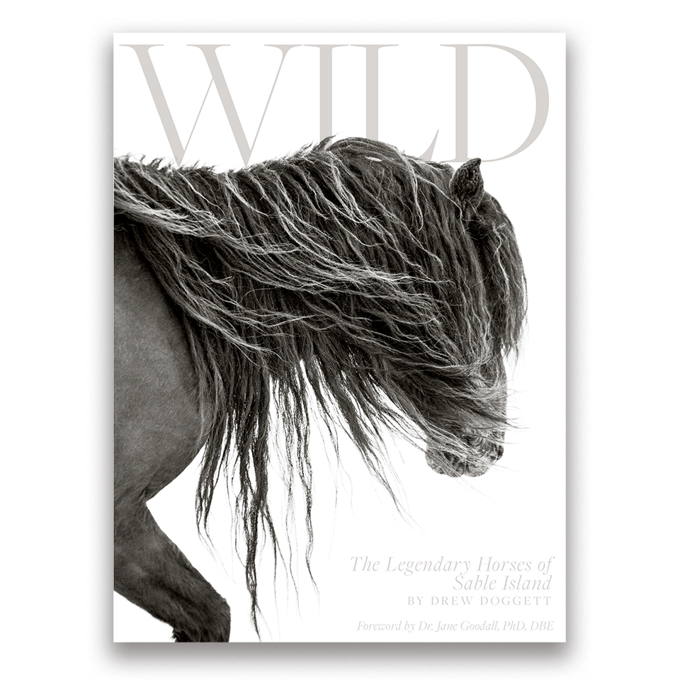 Drew Doggett Photography - Vendita all'ingrosso Display Book - Wild: I leggendari cavalli di Sable Island0