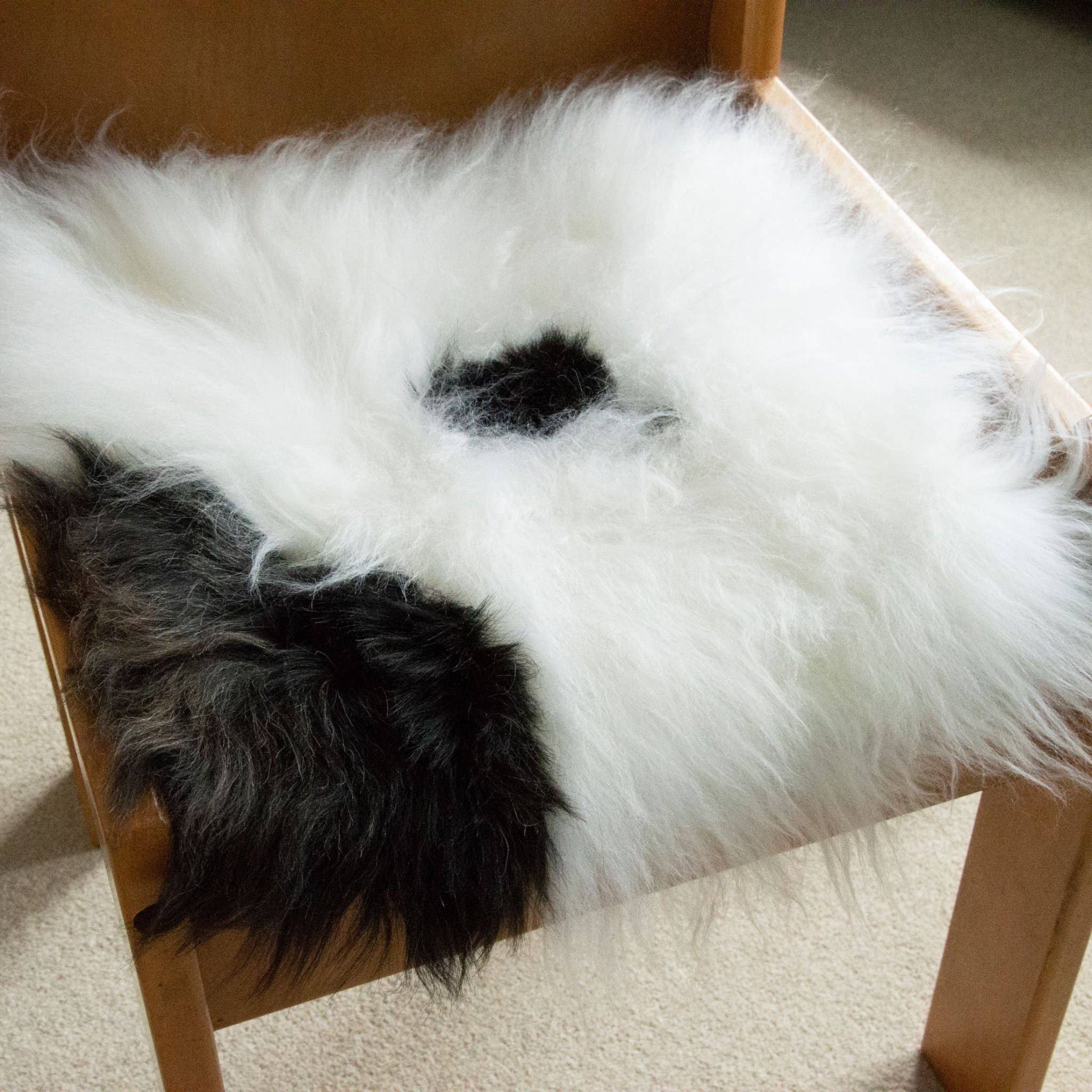 Wildash London – Großhandel Stuhlkissen – 100 % echtes Schaffell Sitzkissen, cremefarben mit dunkelbraunem Akzent2