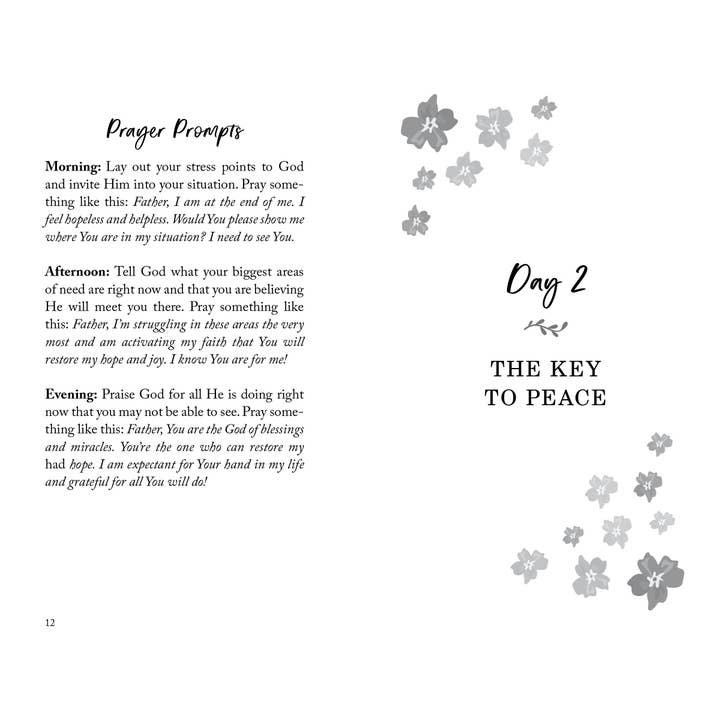 Barbour Publishing, Inc. - Wholesale Book - Adult - The 30-Day Stress Detox Devotional