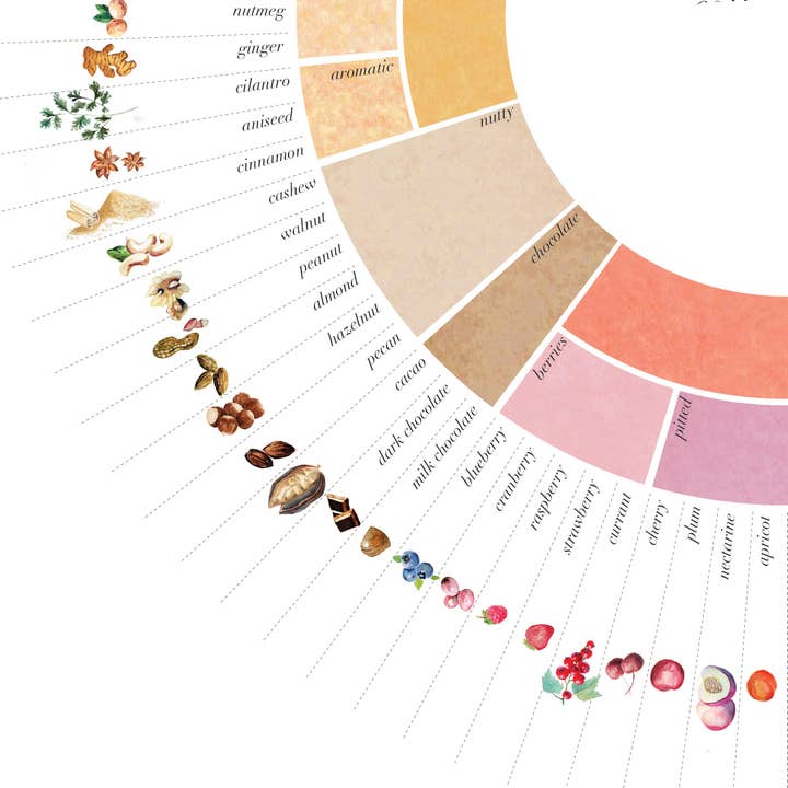 Paper Mundi - Wholesale Art Print - Coffee Flavor Wheel1