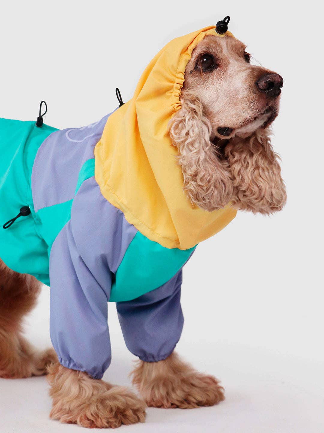 Qisu - Wholesale Pet Raincoat - Dog - Raincoat for dogs | Tropical color1