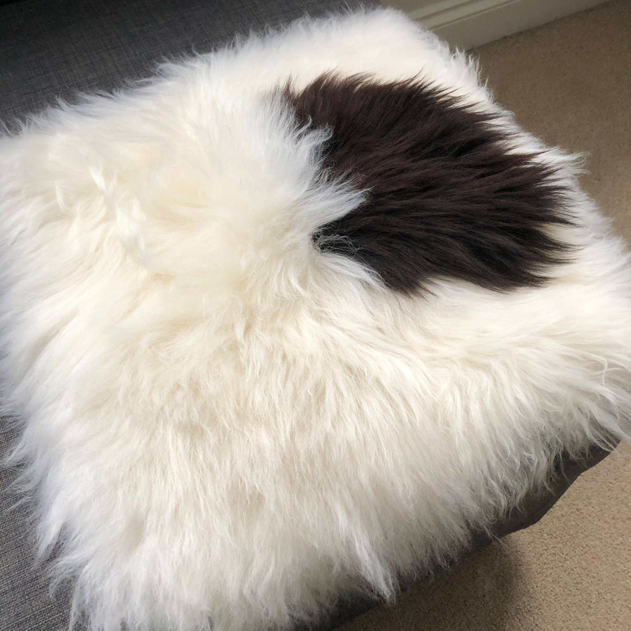 Wildash London – Großhandel Stuhlkissen – 100 % echtes Schaffell Sitzkissen, cremefarben mit dunkelbraunem Akzent10