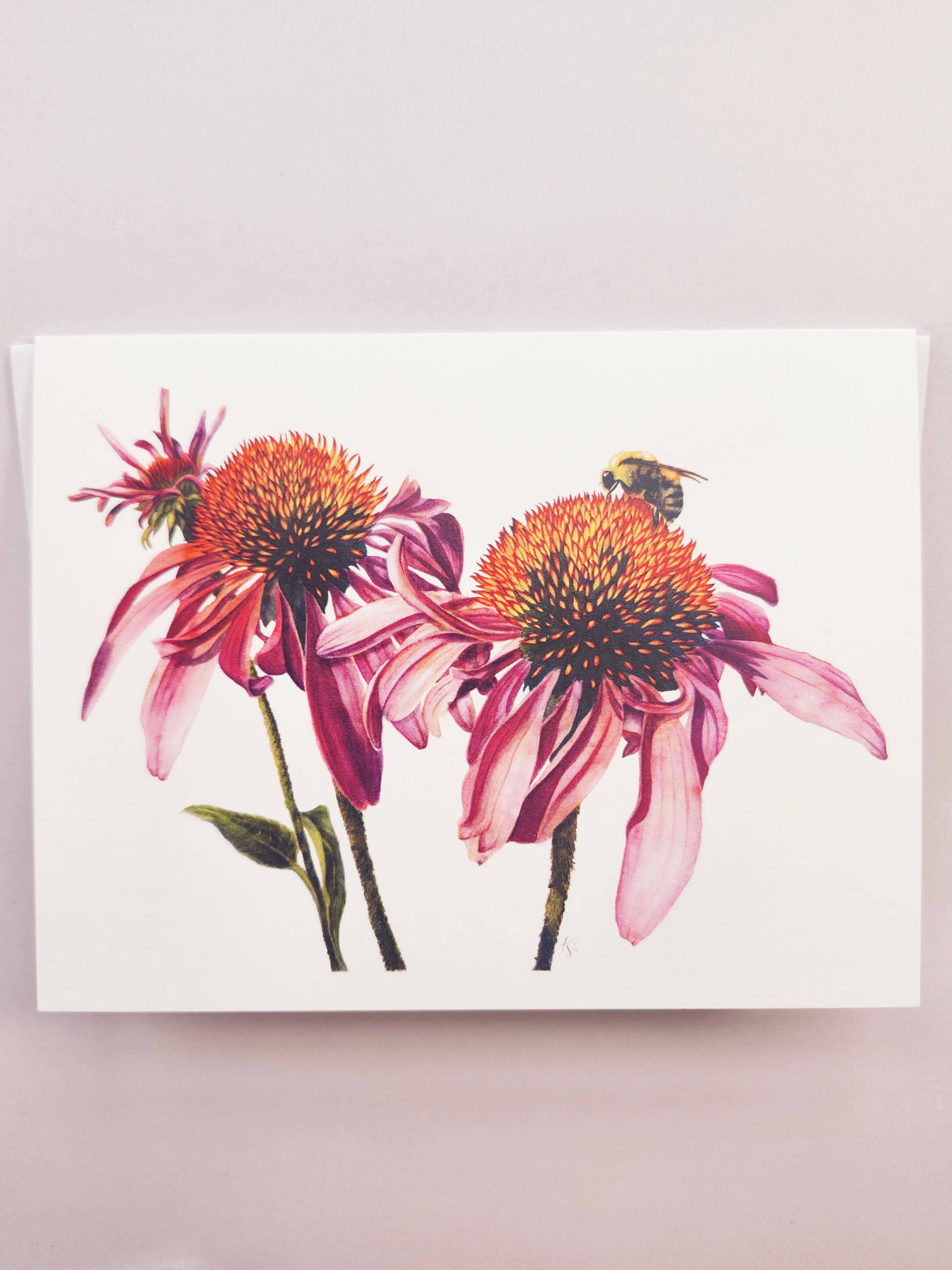 Redbriar Studio - Wholesale Stationery/Notecard Set - Notecards5